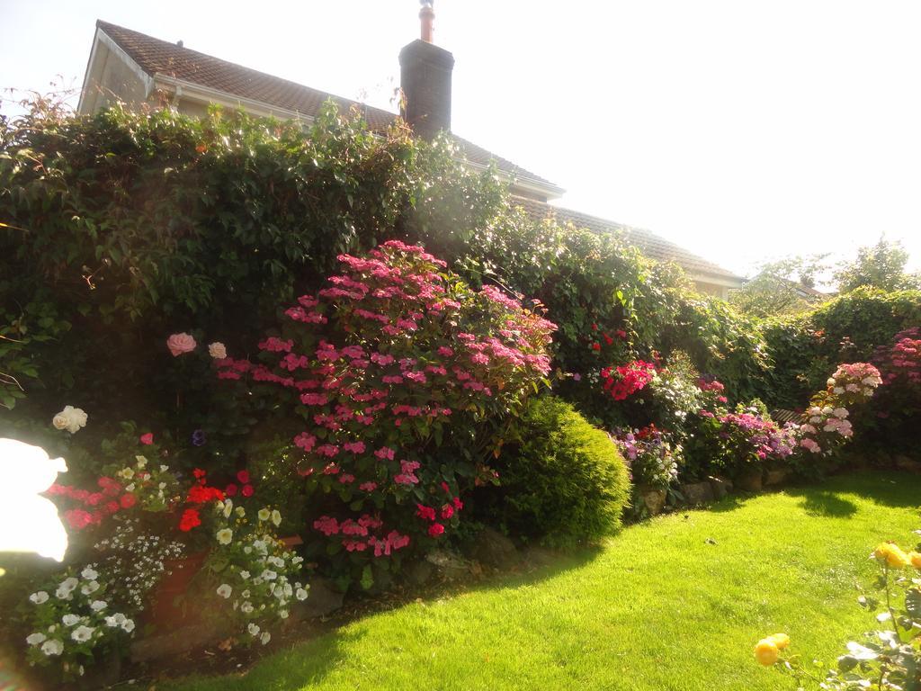 Orley House B&B Drogheda Exteriör bild