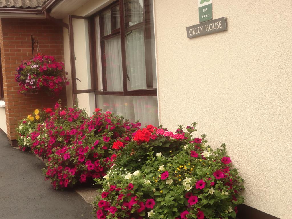 Orley House B&B Drogheda Exteriör bild