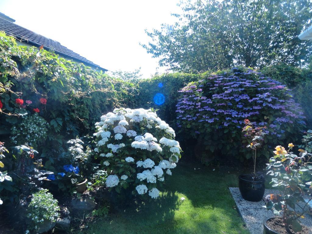 Orley House B&B Drogheda Exteriör bild